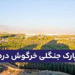 خرگوش دره