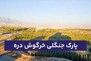 خرگوش دره