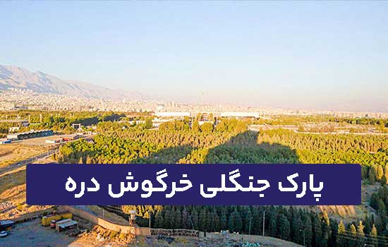 خرگوش دره